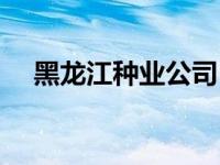 黑龙江种业公司（黑龙江省种业信息网）