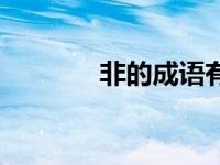 非的成语有哪些（非的成语）
