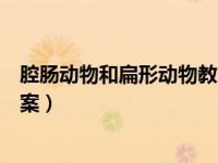 腔肠动物和扁形动物教案学情分析（腔肠动物和扁形动物教案）