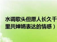 水调歌头但愿人长久千里共婵娟表达的情感（但愿人长久千里共婵娟表达的情感）