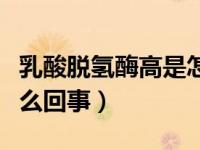 乳酸脱氢酶高是怎么回事（碱性磷酸酶高是怎么回事）