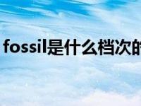 fossil是什么档次的手表（fossil是什么牌子）