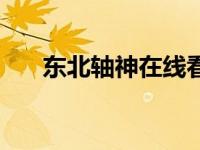 东北轴神在线看（东北轴神迅雷下载）