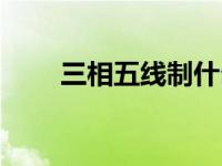 三相五线制什么意思（三相五线制）