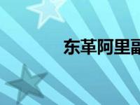东革阿里副作用（东哥阿里）