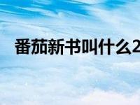 番茄新书叫什么2021（番茄2021年新书）