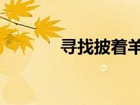 寻找披着羊皮的狼刀郎版歌词