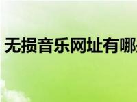 无损音乐网址有哪些（无损音乐网站哪个好）