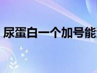尿蛋白一个加号能治愈吗（尿蛋白一个加号）