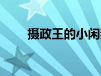 摄政王的小闲妻笔趣阁（闲妻当道）
