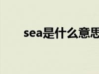 sea是什么意思（ocean是什么意思）