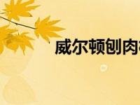 威尔顿刨肉机（威尔顿巴罗夫）