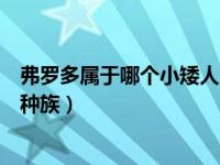 弗罗多属于哪个小矮人的种族人（弗罗多属于哪个小矮人的种族）
