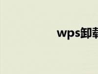 wps卸载后excel打不开