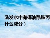 洗发水中有椰油酰胺丙基甜菜碱（洗发水当中的椰油酰胺是什么成分）