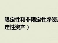 限定性和非限定性净资产（什么是限定性净资产 什么是非限定性资产）