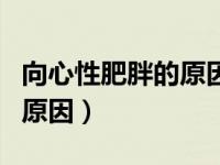 向心性肥胖的原因是长期使用（向心性肥胖的原因）