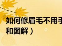 如何修眉毛不用手遮挡（如何修眉毛具体步骤和图解）