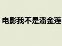 电影我不是潘金莲国语（电影我不是潘金莲）