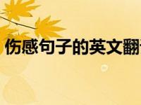 伤感句子的英文翻译（英文伤感句子带翻译）