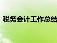 税务会计工作总结ppt（税务会计工作总结）