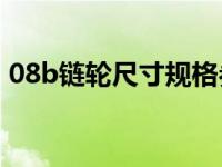 08b链轮尺寸规格参数（双排链轮规格参数）