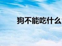 狗不能吃什么食物（狗不能吃什么）
