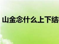山金念什么上下结构（山金念什么左右结构）