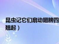 昆虫记它们扇动翅膀四足高高翘起（它们扇动双翅四足高高翘起）