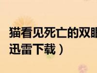 猫看见死亡的双眼完整版（猫看见死亡的双眼迅雷下载）