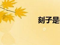 刻子是啥意思（刻子）