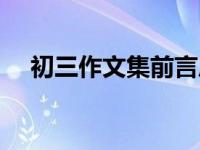 初三作文集前言后记（作文集前言后记）