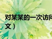 对某某的一次访问作文（对什么的一次访问作文）