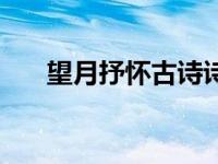 望月抒怀古诗诗句（望月抒怀的古诗）