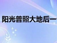 阳光普照大地后一句是什么（阳光普照大地）