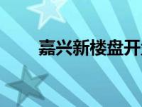 嘉兴新楼盘开盘信息（嘉定新楼盘）