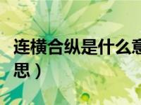 连横合纵是什么意思地图（连横合纵是什么意思）