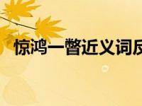 惊鸿一瞥近义词反义词（惊鸿一瞥近义词）