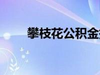 攀枝花公积金提取（攀枝花公积金）