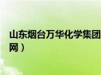 山东烟台万华化学集团（烟台万华化学集团股份有限公司官网）