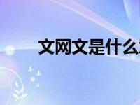 文网文是什么意思（文网文是什么）