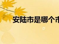 安陆市是哪个市的（安陆市是哪个市）