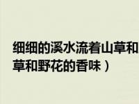 细细的溪水流着山草和野花的香味留着（细细的溪水流着山草和野花的香味）