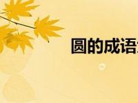 圆的成语大全（圆的成语）