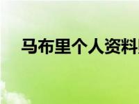 马布里个人资料照片（马布里个人资料）