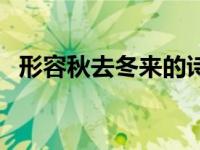 形容秋去冬来的诗句（形容秋去冬来诗句）