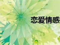 恋爱情感指南（恋爱指引）