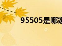95505是哪家保险公司（95505）