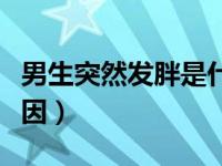 男生突然发胖是什么原因（突然发胖是什么原因）