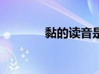 黏的读音是什么（黏的读音）